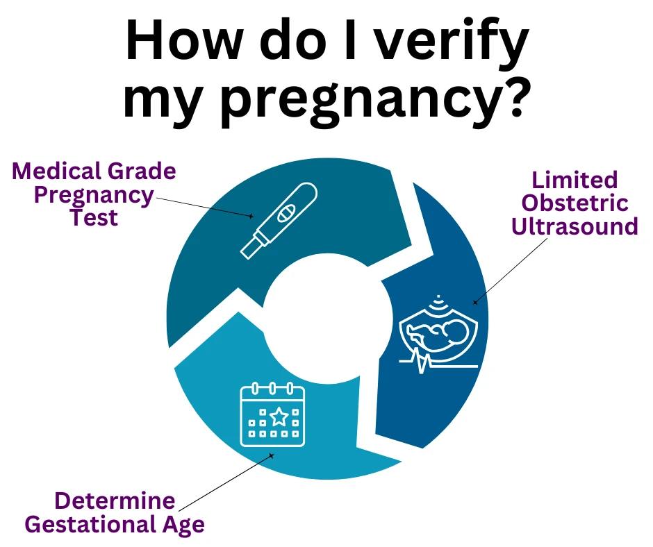 Abortion Procedures Abortion procedures.